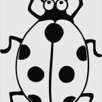 Vorlage Marienkäfer Cool Marienkäfer Zum Ausmalen Kinderbilder Download