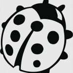 Vorlage Marienkäfer Erstaunlich Marienkäfer Vorlage Zum Ausdrucken Wunderbar Marienkaefer