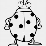 Vorlage Marienkäfer Inspiration Marienkäfer Malvorlage Kostenlos