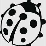 Vorlage Marienkäfer Inspiration Vorlage Marienkäfer Malen Schönste Marienkaefer Clipart