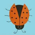 Vorlage Marienkäfer Schönste Wir Basteln Einen Schönen Marienkäfer