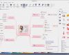 Vorlage Mindmap Genial Kostenlose Mindmap Vorlagen Für Hochzeitsplan Mindmaster