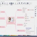 Vorlage Mindmap Genial Kostenlose Mindmap Vorlagen Für Hochzeitsplan Mindmaster