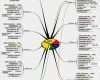 Vorlage Mindmap Word Erstaunlich Prozesslandkarten Prozessogramme