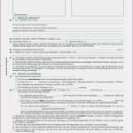 Vorlage Minijob Best Of Kundigungsschreiben Vorlage Vertrag 15 Kündigung Vorlage