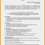 Vorlage Nachfassbrief Angebot Bewundernswert Anforderung Arbeitszeugnis Musterbrief Probe Zeugnis Nms