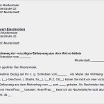 Vorlage Nachmieter Gesucht Großartig Vorzeitige Entlassung Aus Einem Mietvertrag Wird Abgelehnt