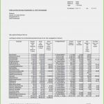 Vorlage Nebenkostenabrechnung Kostenlos Cool Nebenkostenabrechnung Muster Kostenlos Excel Exce