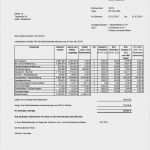 Vorlage Nebenkostenabrechnung Vermieter Erstaunlich Vermieter Nebenkostenabrechnung Vorlage Gut Nebenkosten