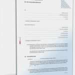 Vorlage Patientenverfügung Pdf Gut Vorsorgevollmacht Gesundheitsbereich