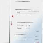 Vorlage Patientenverfügung Pdf Hübsch Notfallbogen Patientenverfügung