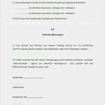 Vorlage Privater Darlehensvertrag Angenehm Steckbrief Erzieherin Kindergarten Vorlage – Vorlagen 1001