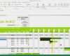Vorlage Projektplan Excel Bewundernswert Projektplan Excel