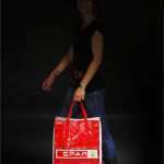 Vorlage Protokoll Konstituierende Sitzung Betriebsrat Schönste Land Oberösterreich Landeskorrespondenz Nr 243 Vom 21