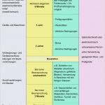 Vorlage Prüfprotokoll ortsveränderliche Geräte Cool Bgv A3 Messung ortsveränderliche Geräte – Automobil Bau