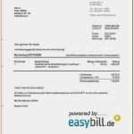 Vorlage Rechnung Provision Fabelhaft 9 Rechnung Provision Muster