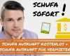 Vorlage Schufa Auskunft Für Vermieter Wunderbar Schufa Auskunft Kostenlos Per formular 👍