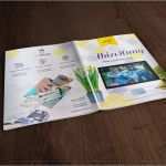 Vorlage Schülerzeitung Hübsch Layout Vorlagen Schülerzeitung Abizeitung