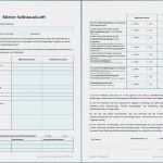 Vorlage Selbstauskunft Mieter Cool Selbstauskunft Mieter Vorlage