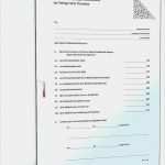 Vorlage Selbstauskunft Mieter Einzigartig Selbstauskunft Mieter Vorlage