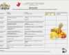 Vorlage Speiseplan Kindergarten Inspiration 15 Reinigungsplan Kindergarten Muster