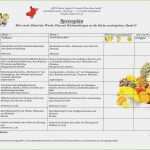 Vorlage Speiseplan Kindergarten Neu 15 Reinigungsplan Kindergarten Muster