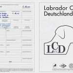 Vorlage Stammbaum Powerpoint Bewundernswert Ziemlich Stammbaum Stammbaum Vorlage Galerie Entry Level