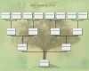 Vorlage Stammbaum Powerpoint Neu Family Tree Chart Template Example