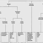 Vorlage Stammbaum Powerpoint Neu Stammbaum Erstellen Vorlage Fabelhaft Schön Vorlage