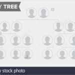 Vorlage Stammbaum Powerpoint Schön Stammbaum Vorlage Vektor Familiengeschichte Baum Mit