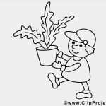 Vorlage Stammbaum Zum Ausdrucken Angenehm Vorlage Zum Drucken Und Malen Gärtner Und Pflanze