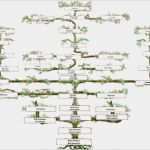 Vorlage Stammbaum Zum Ausdrucken Hübsch Suhrsoft Individualsoftware Und Genealogieprogramme