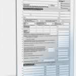 Vorlage Steuererklärung 2017 Gut Anlage V 2017