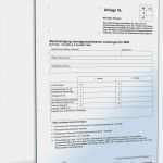 Vorlage Steuererklärung 2017 Neu Anlage Vl 2008