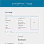 Vorlage Strukturiertes Interview Beste 31 Best Lebenslauf Vorlagen &amp; Muster Images On Pinterest