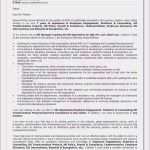 Vorlage Strukturiertes Interview Elegant Arbeitsvertrag Kraftfahrer Vorlage Bewerbung Als