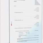 Vorlage T Konten Erstaunlich T Konten Vorlage Pdf 15 T Kontenblatt Vorlage