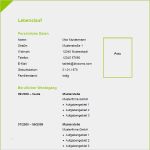 Vorlage Tabellarischer Lebenslauf Word Cool Vorlage 35 Tabellarischer Lebenslauf