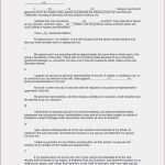 Vorlage Testament Alleinerbe Bewundernswert Rauchmelder Protokoll Vorlage Die Erstaunliche Testament