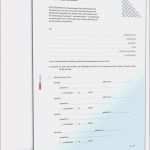 Vorlage Testament Alleinerbe Schön Rauchmelder Protokoll Vorlage Die Erstaunliche Testament