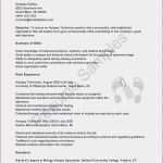 Vorlage Testament Handschriftlich Schönste Testament Handschriftlich Vorlage Inspirierende Testament