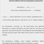 Vorlage Testament Kinder Erstaunlich Vorlage Testament Ehepaar Kinderlos Papacfo