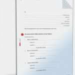 Vorlage Testament Pdf Beste Testament Testamentsvollstrecker