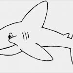 Vorlage Trainingsplan Hund Best Of Hai