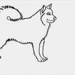 Vorlage Trainingsplan Hund Beste Hund Malen Vorlage Meilleur De Galerie Malvorlagen Katzen