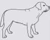 Vorlage Trainingsplan Hund Elegant Hund Malen Vorlage Meilleur De Galerie Malvorlagen Katzen