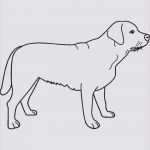 Vorlage Trainingsplan Hund Elegant Hund Malen Vorlage Meilleur De Galerie Malvorlagen Katzen