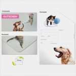 Vorlage Trainingsplan Hund Luxus Gutschein Verschiedenes Hund & Katze