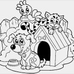 Vorlage Trainingsplan Hund Luxus Hund & Katze