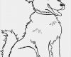 Vorlage Trainingsplan Hund Wunderbar Ausmalbilder Hunde ⋆ Dekoking Diy Bastelideen Dekoideen